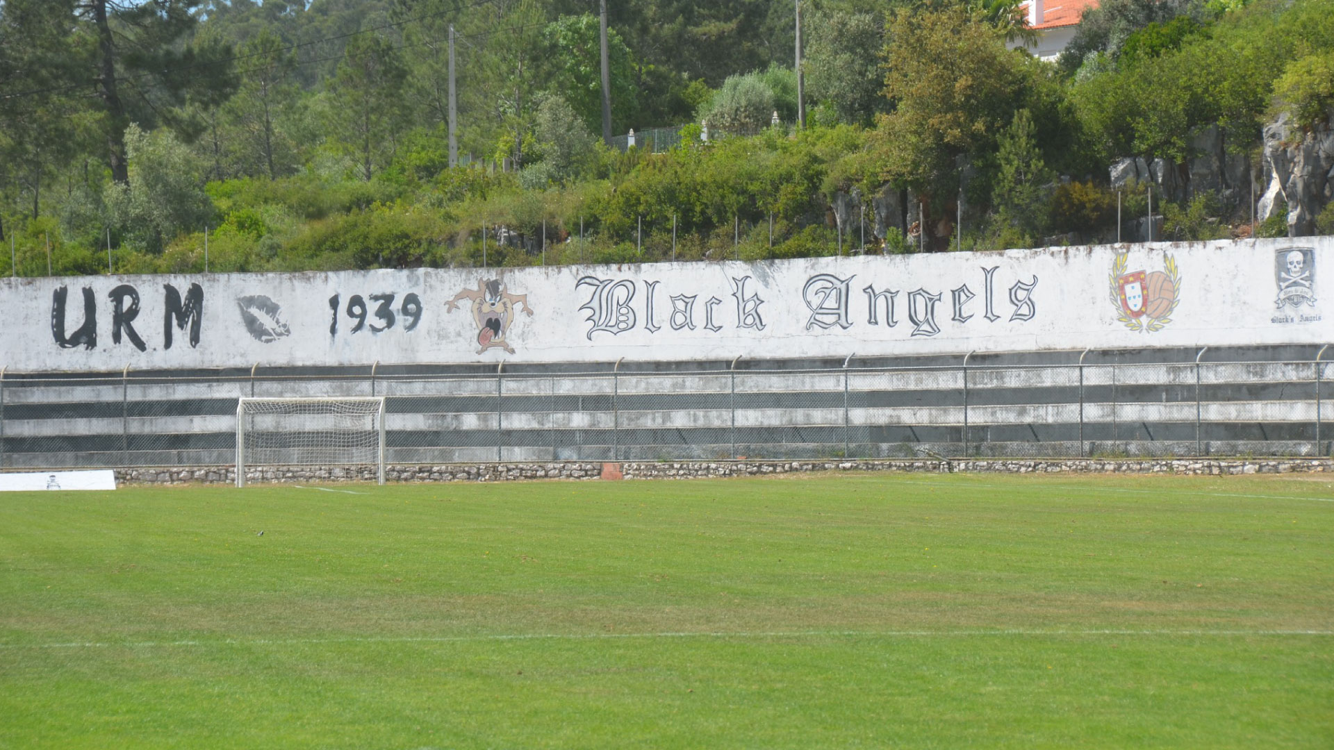 Campo1