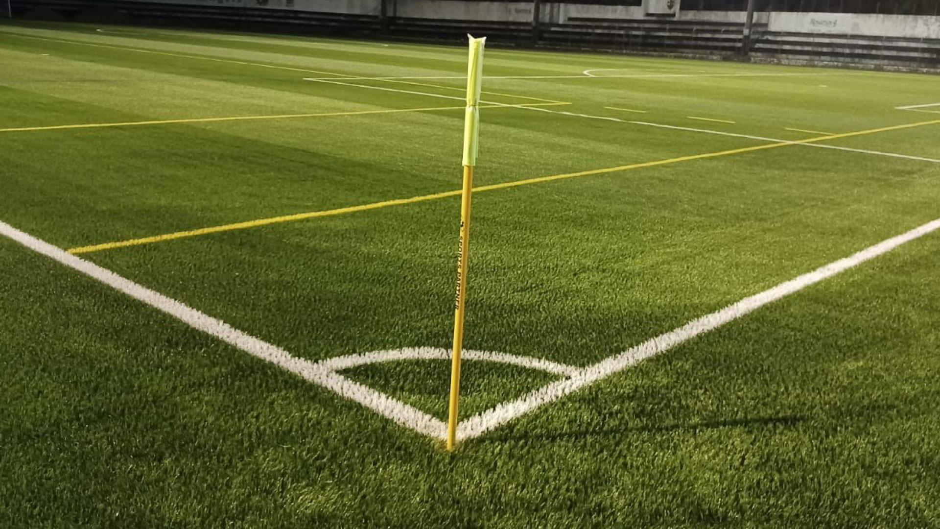 Campo3